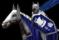 dol amroth knights